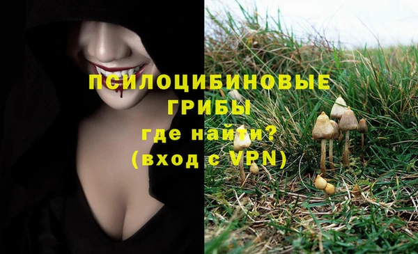 дживик Баксан