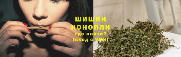 дживик Баксан