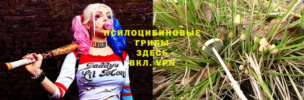 ПСИЛОЦИБИНОВЫЕ ГРИБЫ Армянск