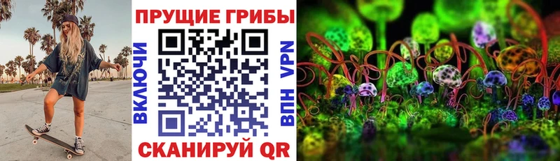 Галлюциногенные грибы Magic Shrooms  omg зеркало  Южноуральск  купить наркотики сайты 
