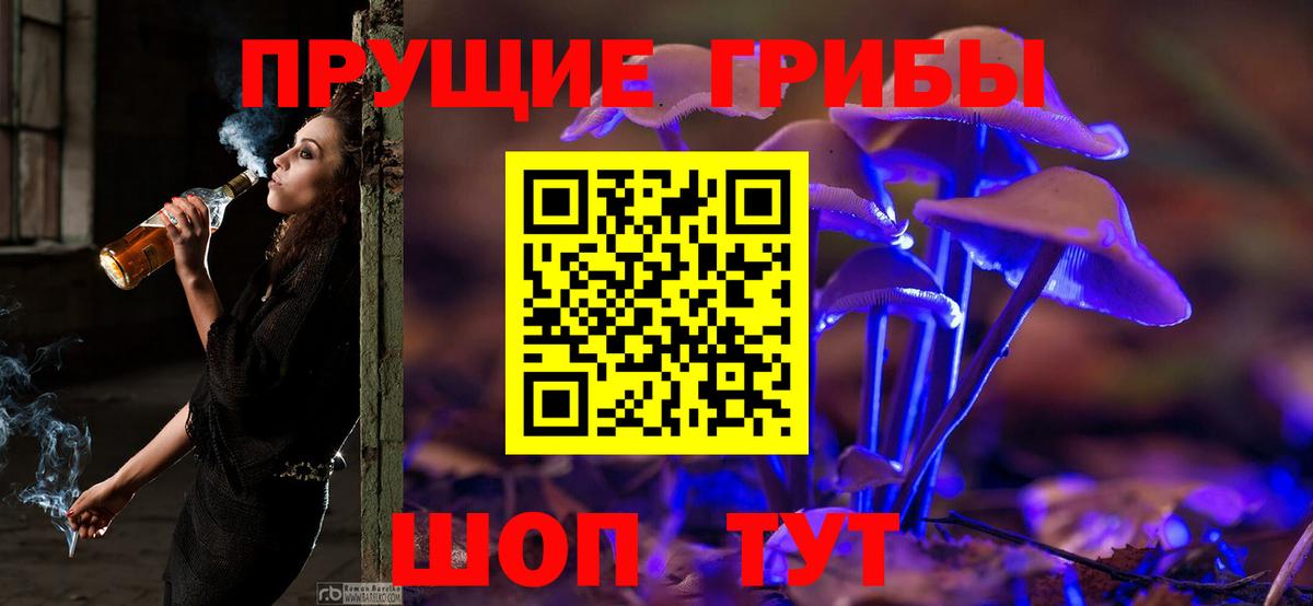 Псилоцибиновые грибы Psilocybine cubensis Южноуральск
